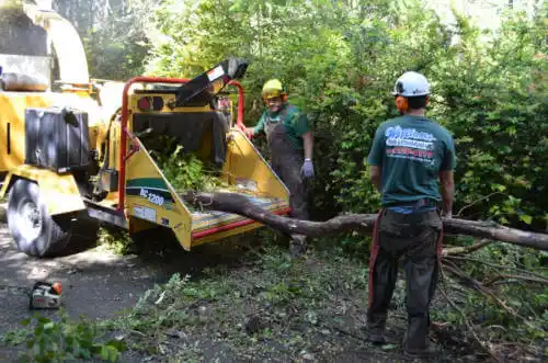 tree services Boulder